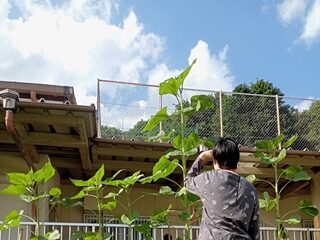 今年も大谷翔平選手を超えるか！？