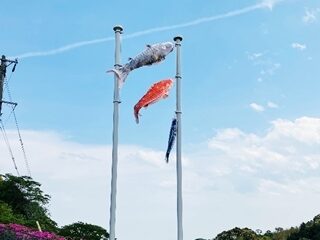 初夏の前に甘いひとときを